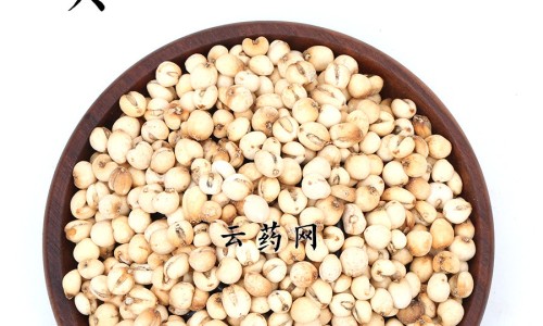 大橡皮的功效与禁忌网 - 网站提供橡皮的十大功效小常识、大橡皮的功效与禁忌是什么